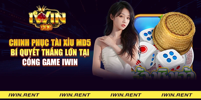 Chinh phục Tài xỉu MD5 - Bí quyết thắng lớn tại cổng game iWin